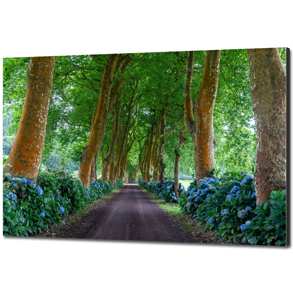 Marin_Machnič_fotopanel_art_print_6