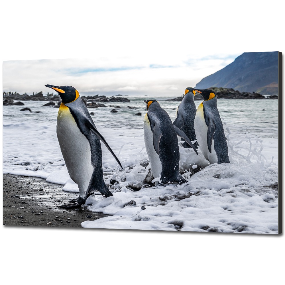 Marin_Machnič_fotopanel_art_print_7