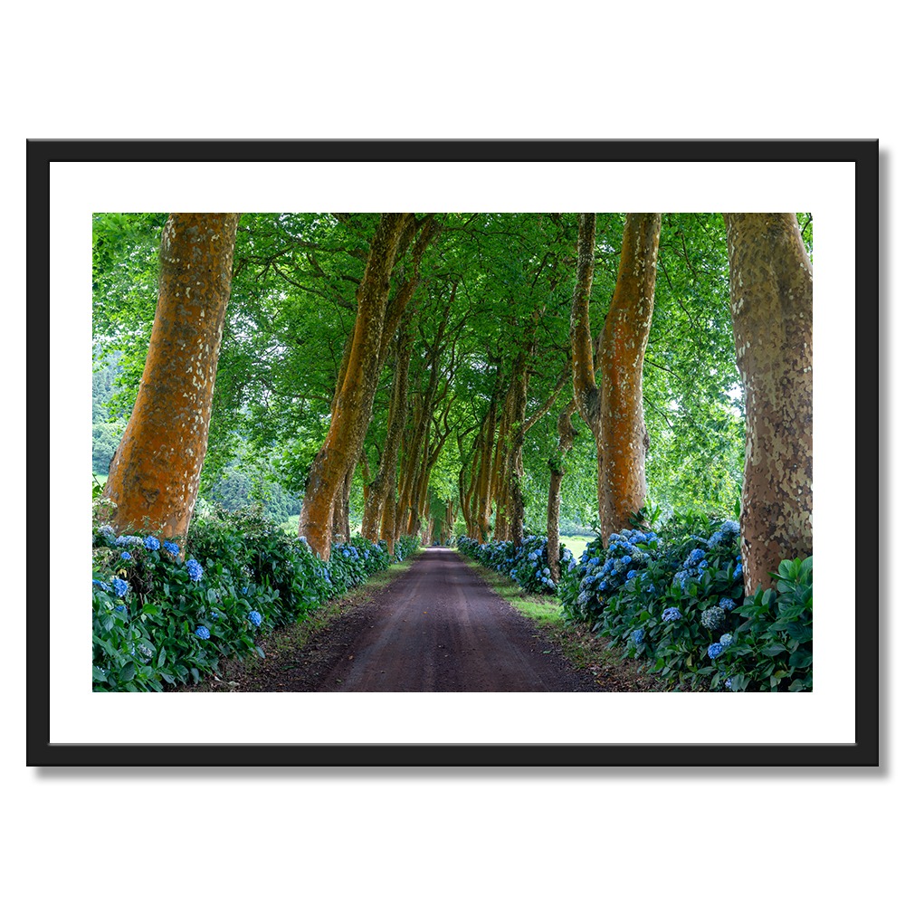 Martin_Machnič_art_print_obraz_v_rame_6